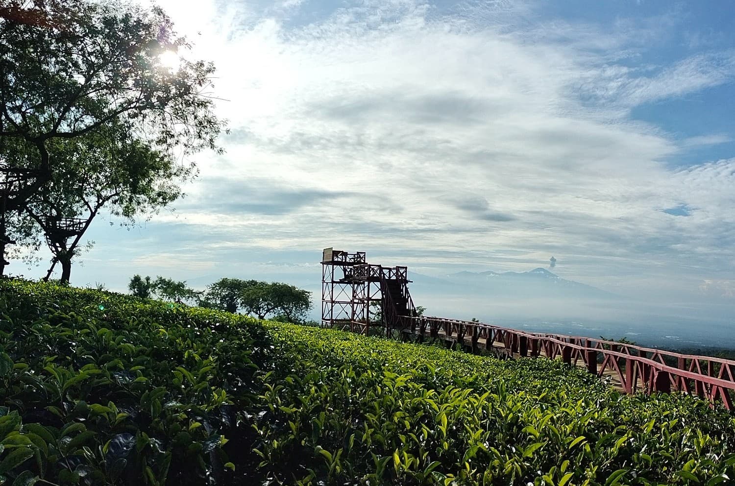 Image Wisata Agro Wonosari 6